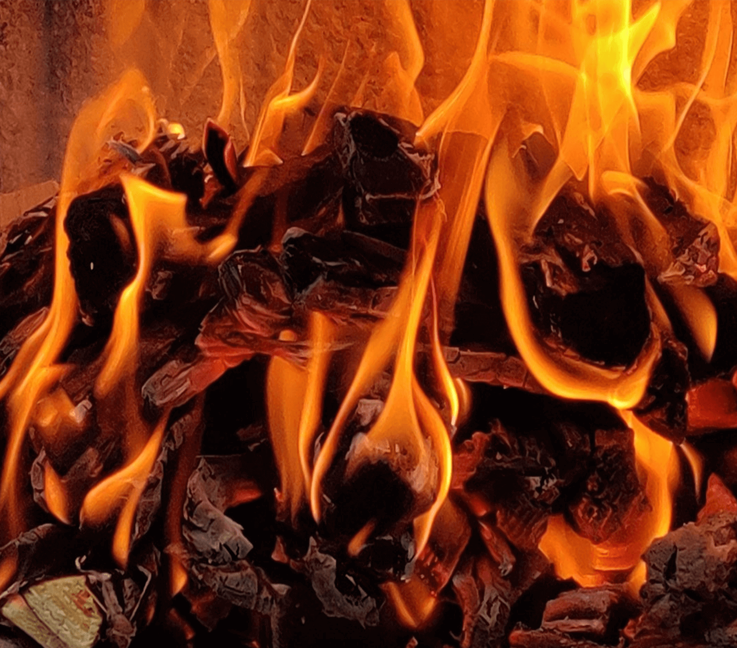 5 x Premium Kindling Wood Nets - Ready to Burn (15KG)